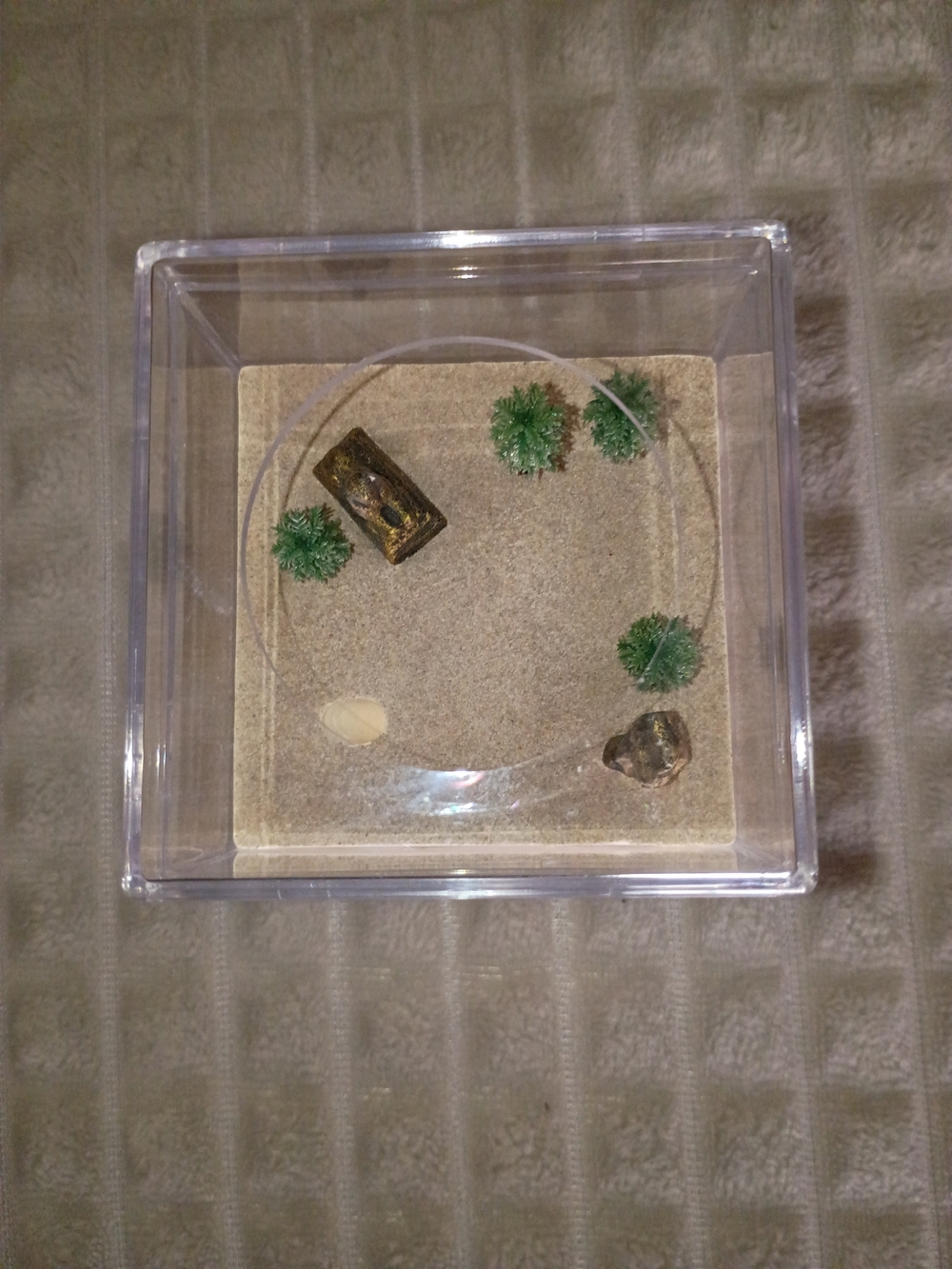 Empire of Ants Starter Ant Farm Kit – Complete Formicarium Habitat Set | NEW in - Picture 2 of 3